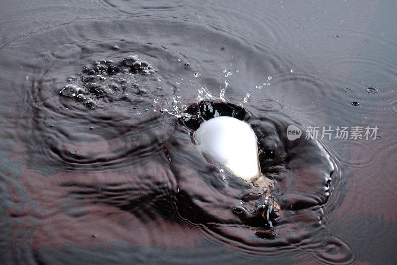 灯泡掉进水里。水溅的背景。