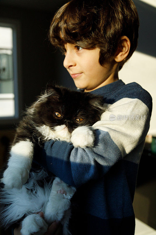 男孩和他的猫