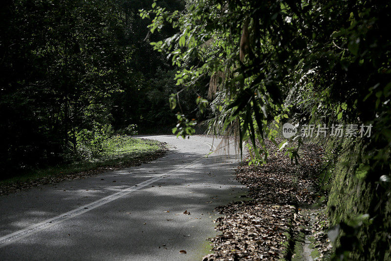 空无一人的道路