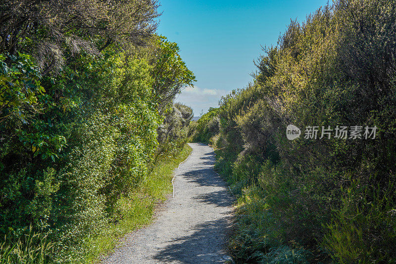 塔怀瀑布步道(咕噜池)在汤加里罗国家公园，新西兰