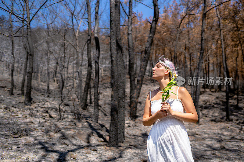 森林大火后，小女孩手持绿色植物在白蜡树间