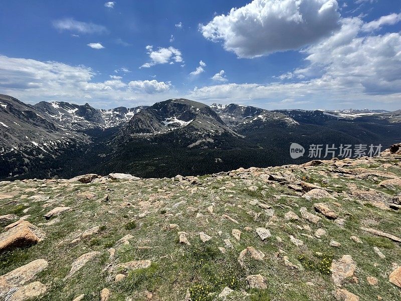 高山苔原-科罗拉多州