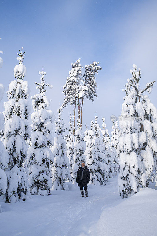 芬兰雪林之旅