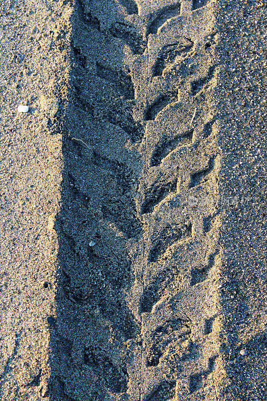 砂上轮胎印
