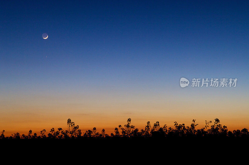 夜空