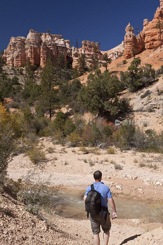 在迪克西国家森林，走向一条山间小溪