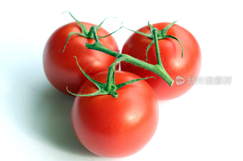 Tomatos网络