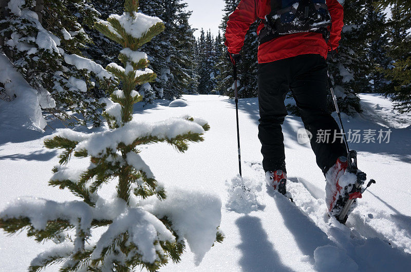 滑雪者滑雪旅游在新雪