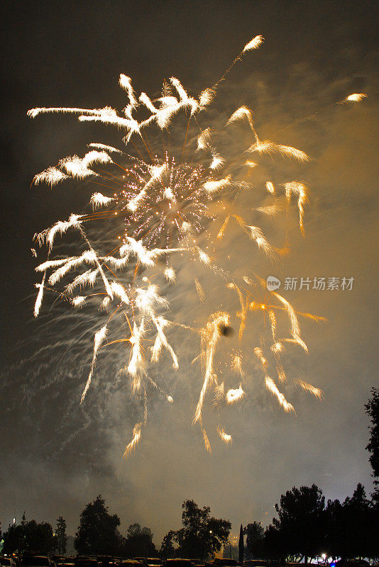 7月4日的烟花庆典，圣诞节和新年