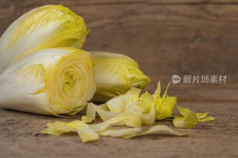 比利时菊苣或菊苣——新鲜健康的食物