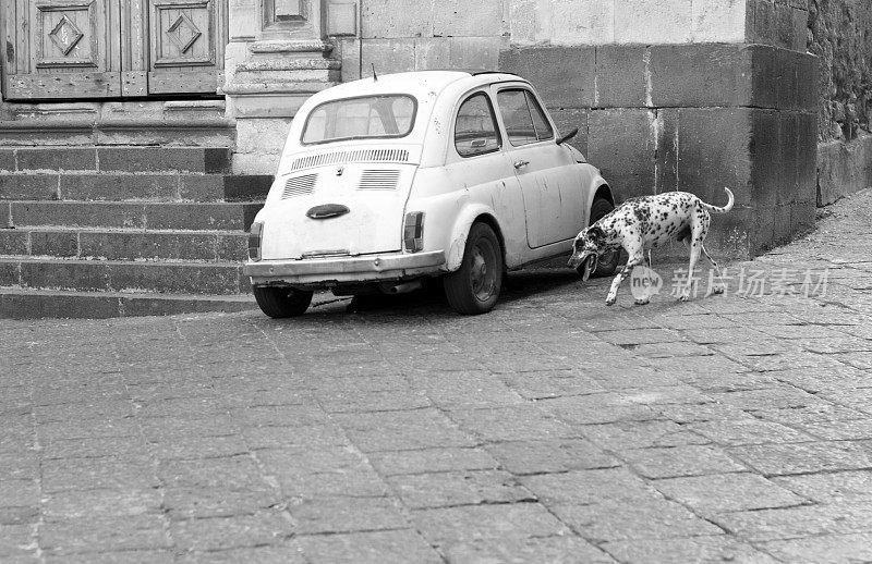 老西西里广场上的破古董车和斑点狗(B&W)