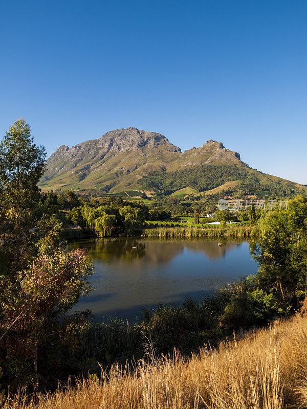 南非Stellenbosch山