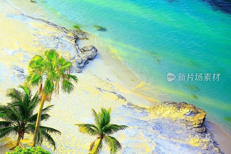 天堂:加勒比海坎昆日落时荒芜的棕榈海滩