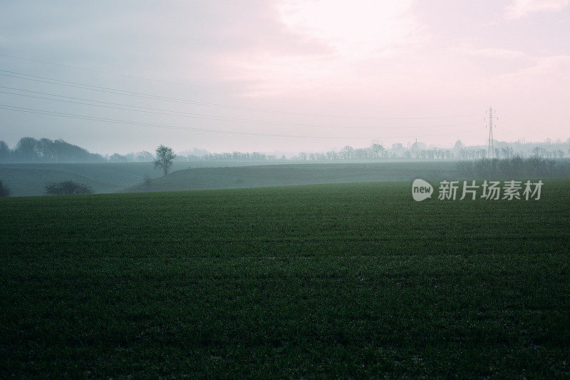 绿色的田野-丹麦冬天的风景