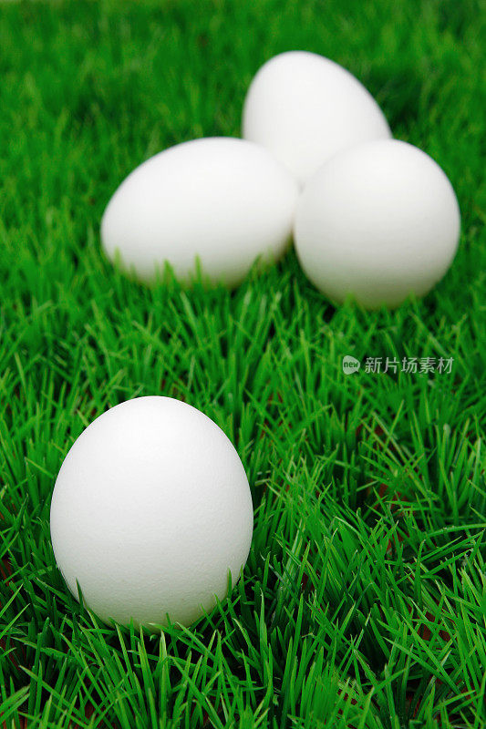 假草上的鸡蛋