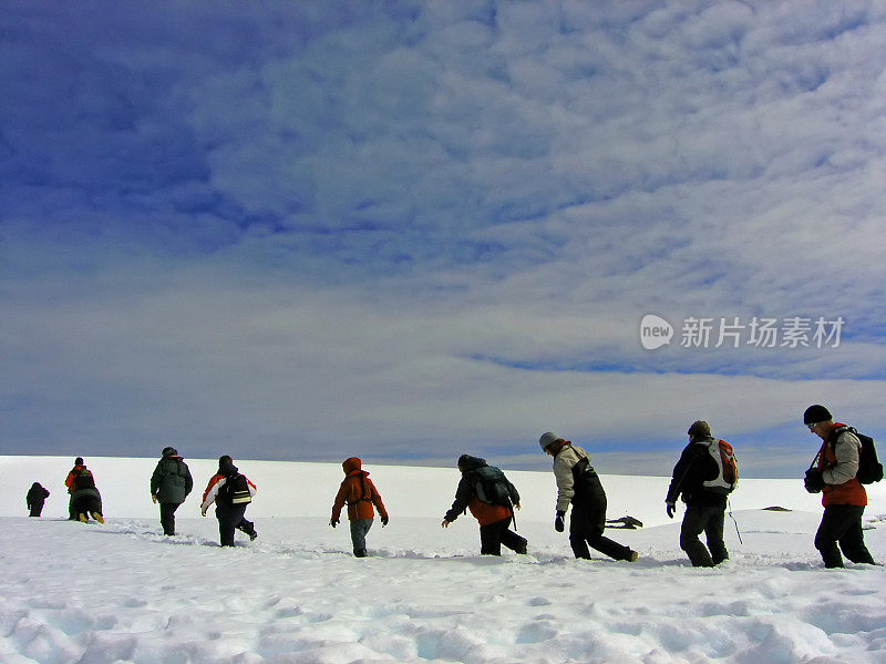 雪中挣扎