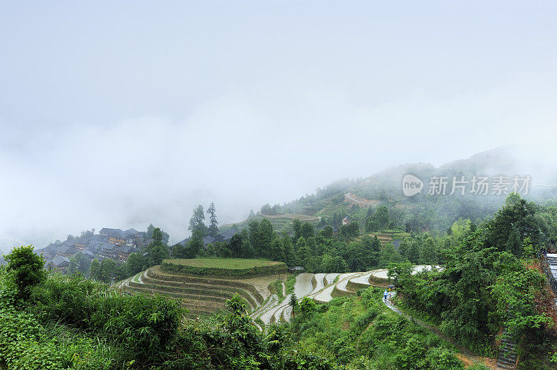 雨中的梯田