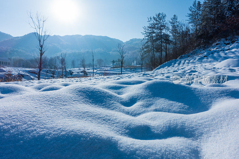 雪在地面