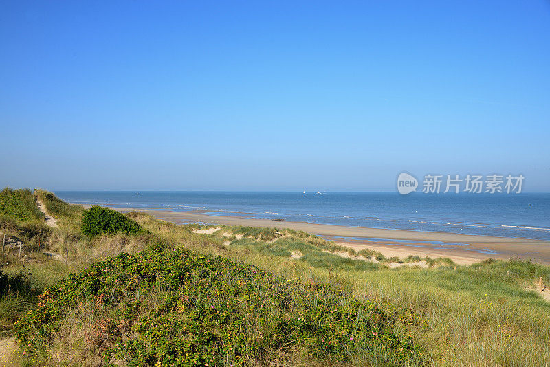 从沙丘和马拉姆草的海景