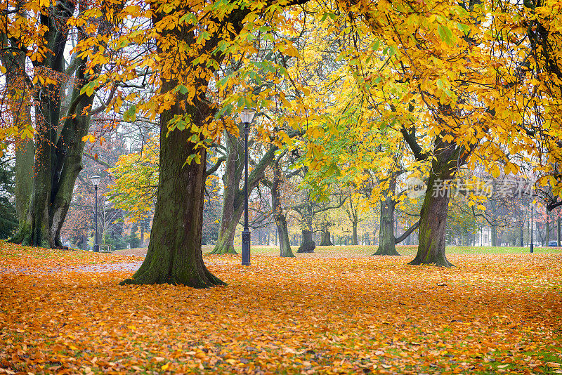 哥德堡城市公园的秋天