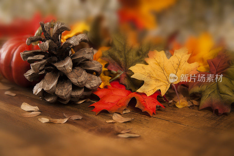感恩节的中心装饰品与秋天的装饰。