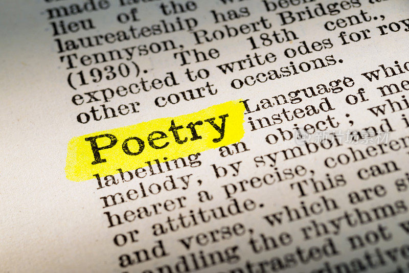 诗歌-字典定义突出