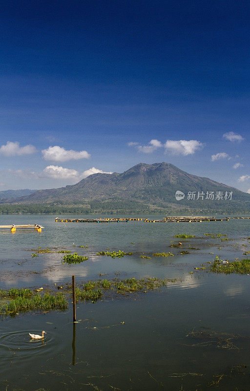 巴图尔火山在巴厘岛