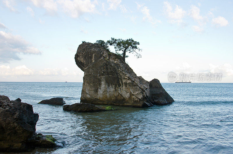 布莱克西·巴廷·阿马斯拉