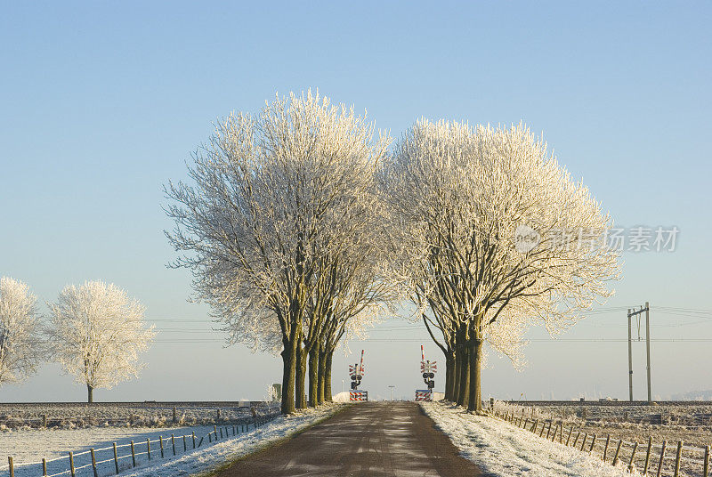 荷兰风景:冬季铁路过境