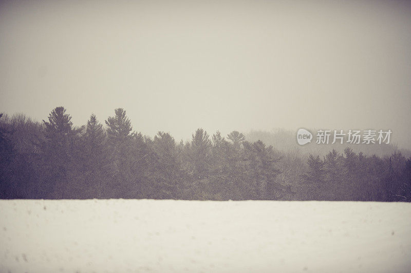 的雪景