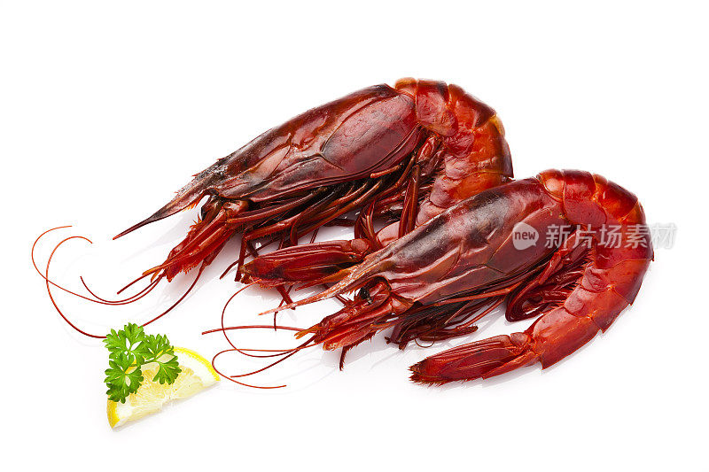 两只巨大的红虾孤立地躺在白色的背景上