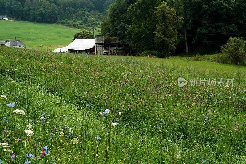 乡村的春天，田野和谷仓