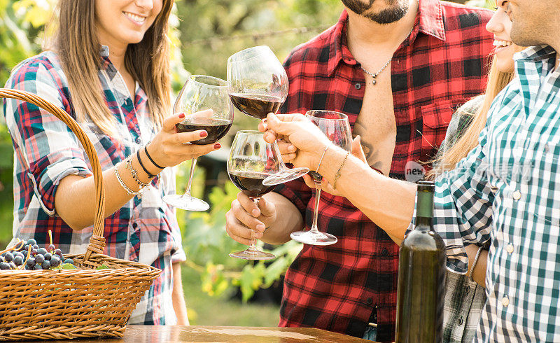 年轻的朋友们在户外畅饮红酒-开心的人在农家葡萄园里吃葡萄，在收获的时候喝酒-年轻的友谊理念与浅的深度的田野