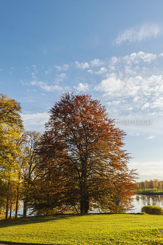 秋天湖边的一个阳光明媚的日子。