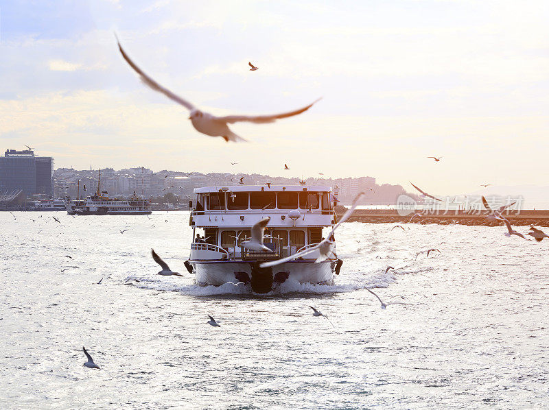 土耳其伊斯坦布尔的传统渡轮