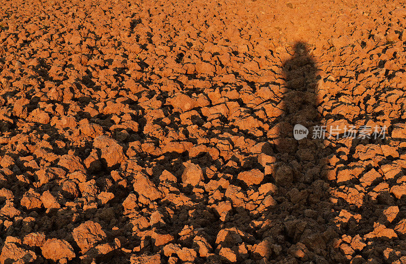 水稻种植前，人的影子在稻田的土块上