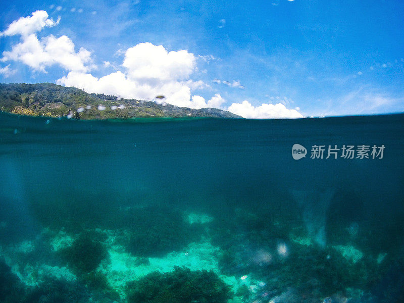 阿波岛水下场景