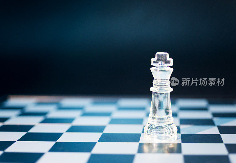 棋盘上的象棋王