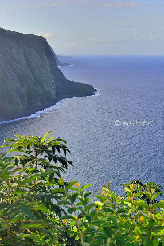 美国夏威夷大岛，威皮奥山谷，观景台