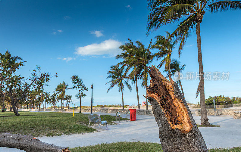 飓风过后的迈阿密海滩