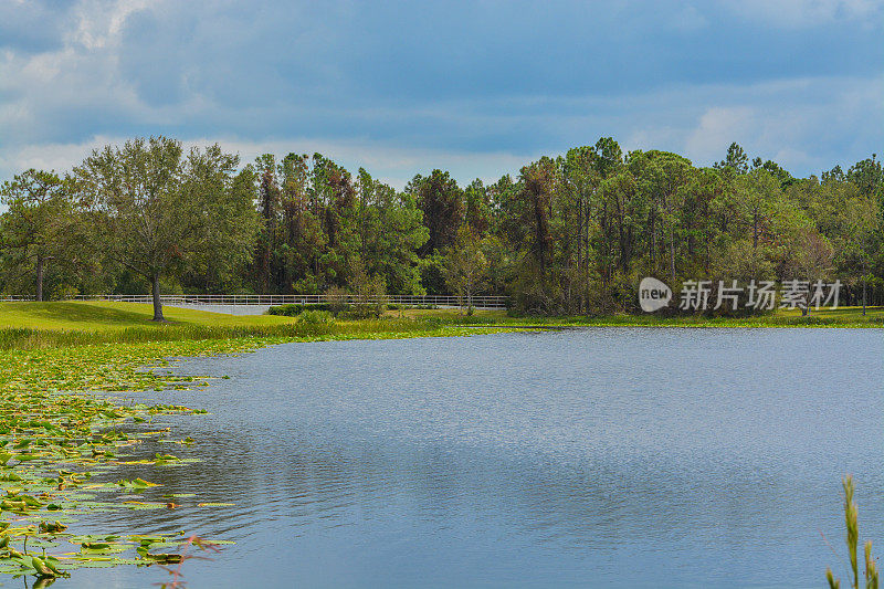 佛罗里达州拉戈沃尔辛厄姆公园沃尔辛厄姆湖的景色