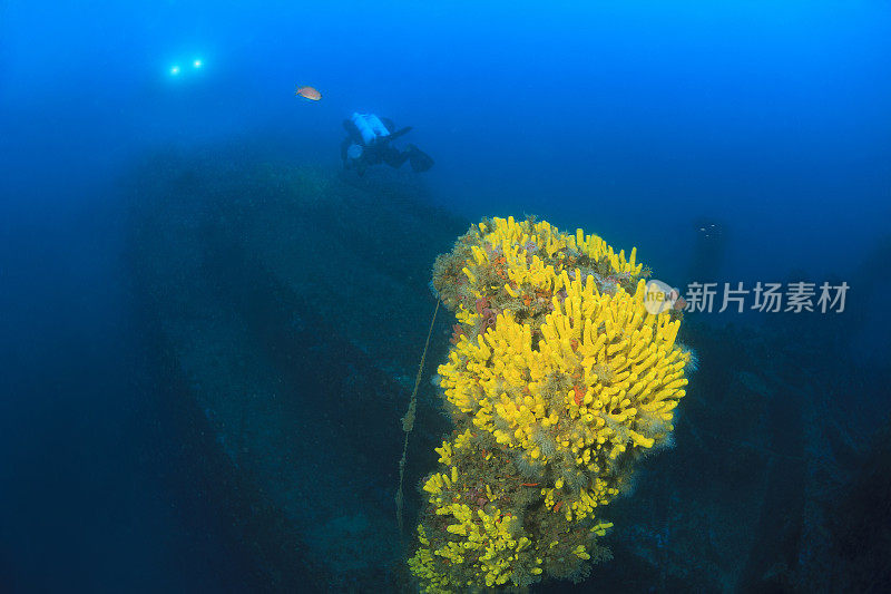 潜水技术潜水员探索和享受沉船潜水海上生命潜水夫妇水上运动技术潜水水肺潜水员的观点