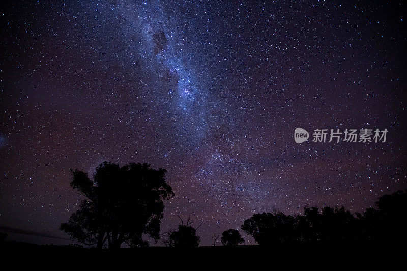 一棵树的剪影映衬在明亮的银河夜空中