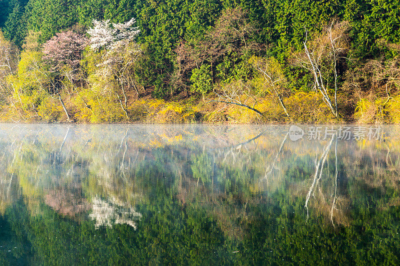 永碧水库美丽的山泉风景Vd737