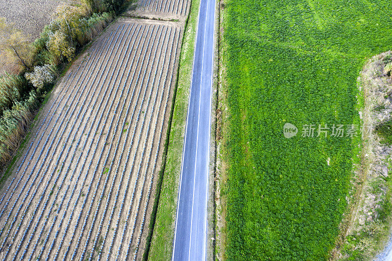 鸟瞰图的乡村道路和耕地与沙拉