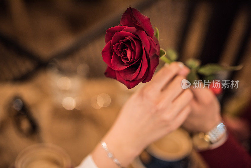 玫瑰是爱情之花。