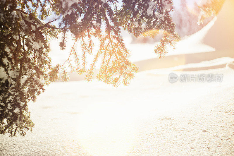 模糊的松树和雪山的镜头