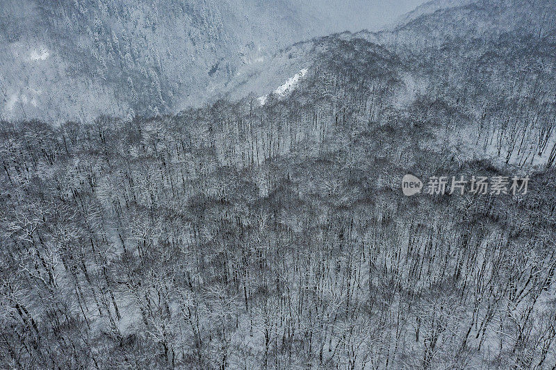 无人机拍摄的冬日森林里白雪覆盖的奇妙峡谷