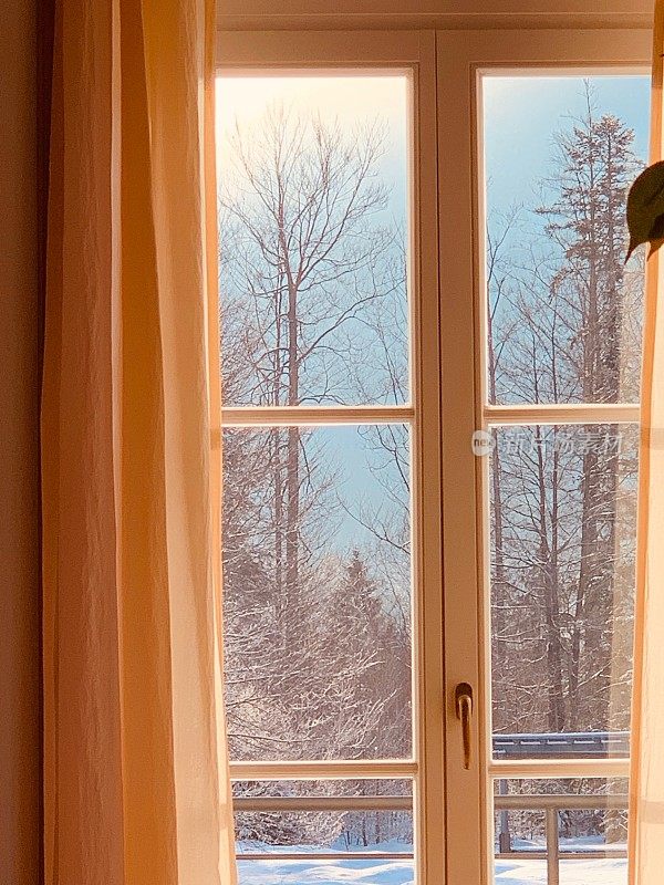 在冬天看着窗外