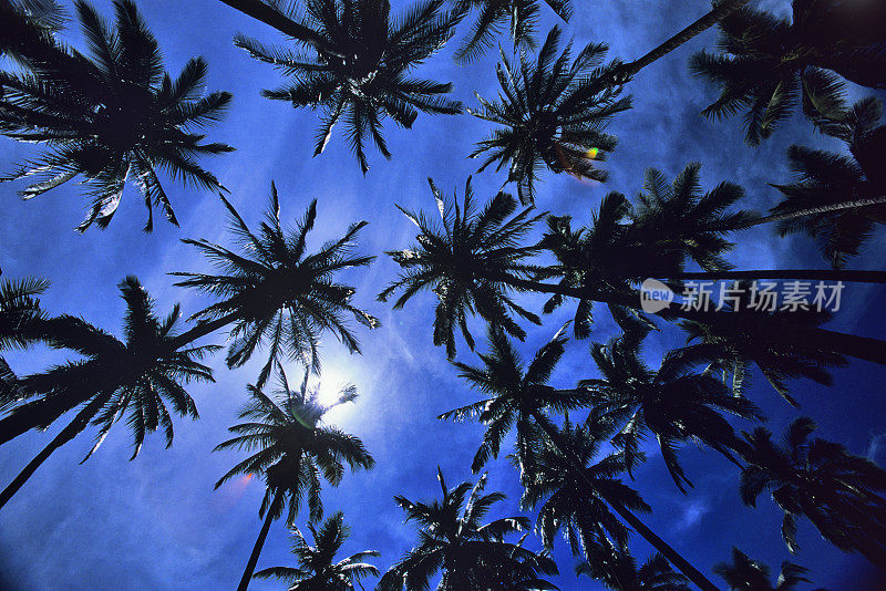 夏威夷的莫洛凯岛